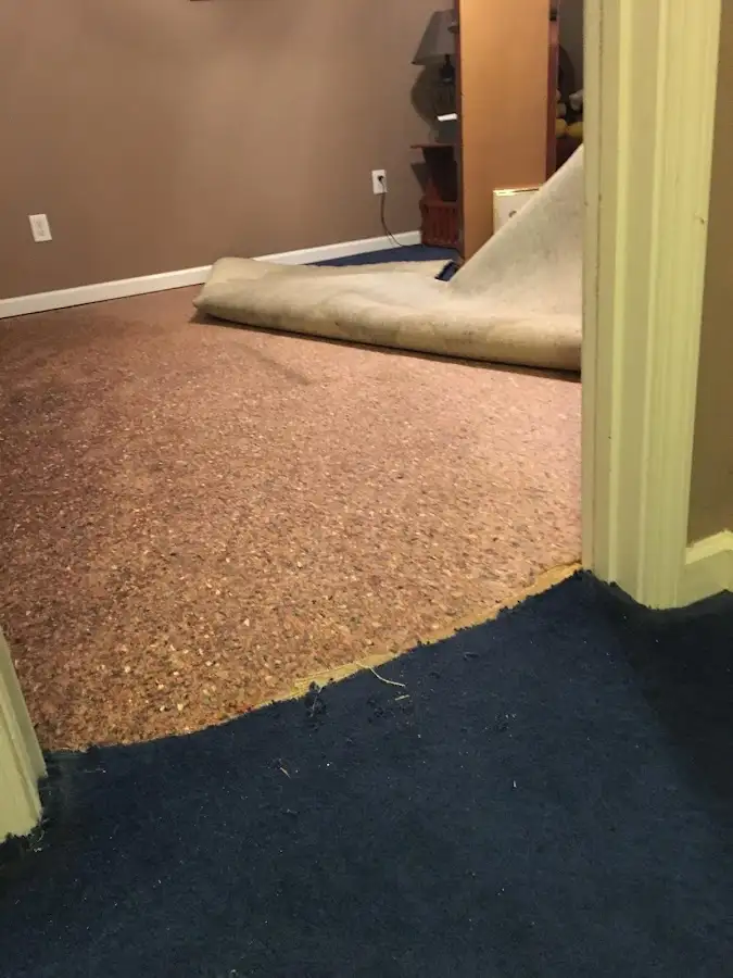 Carpet pad removal revealing water damage during Water Mitigation Services in Sandwich