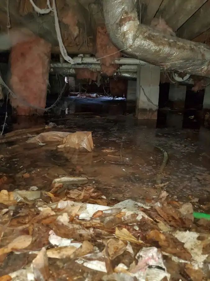 Crawl space flood assessment for Leak Detection & Repair in Sandwich