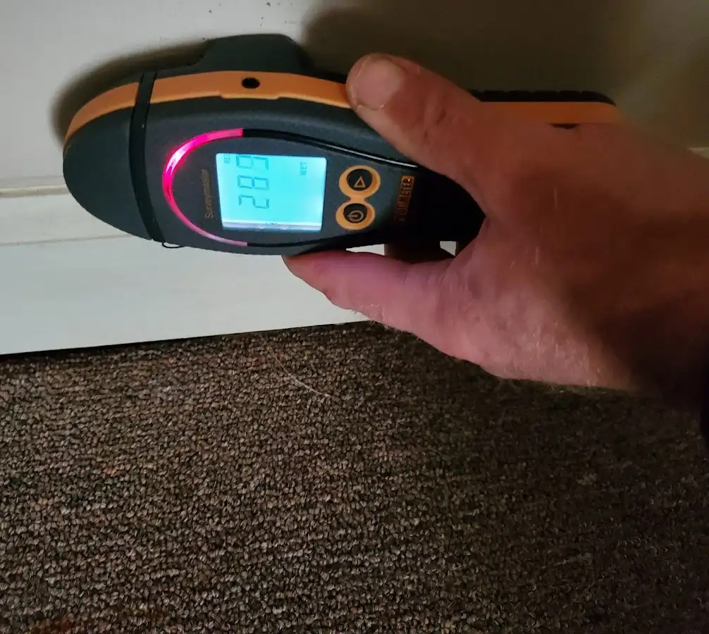 Moisture detection at baseboard during Burst Pipe Cleanup in Sandwich